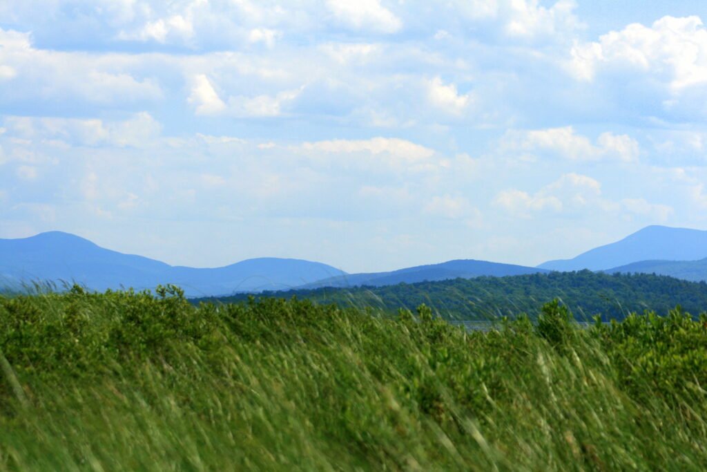 Tall grasses framing Lake Umbagog with distant blue mountains in soft morning light
