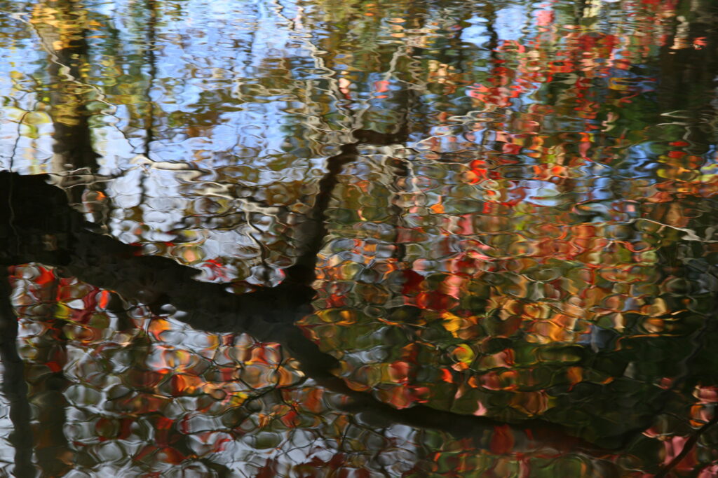 Autumn foliage reflecting in rippling water, creating abstract shapes and colors.