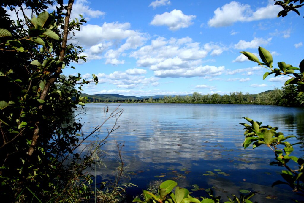Lake Umbagog scenery from a remote island with glass-calm water, cloud reflections, and lush green forest
