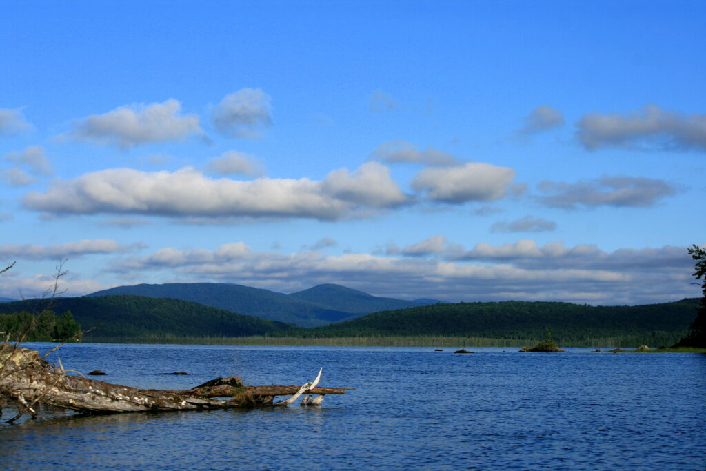 Driftwood on the shoreline of Lake Umbagog with vivid blue sky, white clouds, and distant mountains reflected in calm summer water, peaceful New England nature photography.