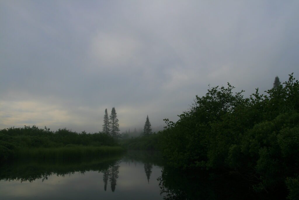Misty morning fog rising over the calm water and evergreen banks of the Androscoggin River in New Hampshire as the sun struggles to break through the clouds