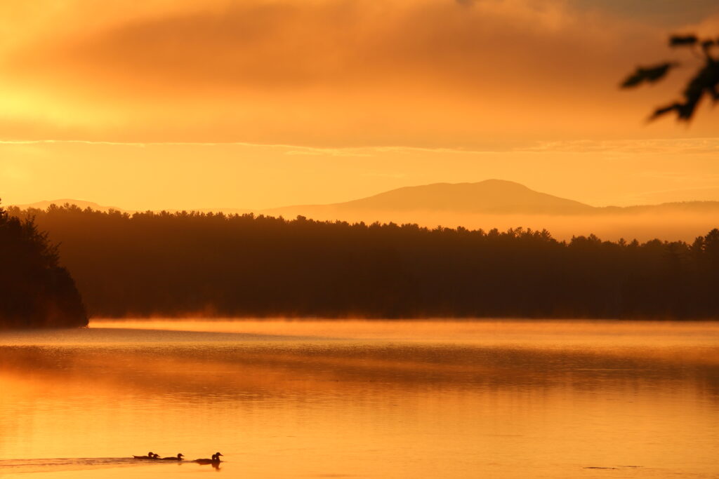 Alternative Text Dense morning fog and mist rising up over the calm, glass-like waters of Lake Umbagog, New Hampshire
