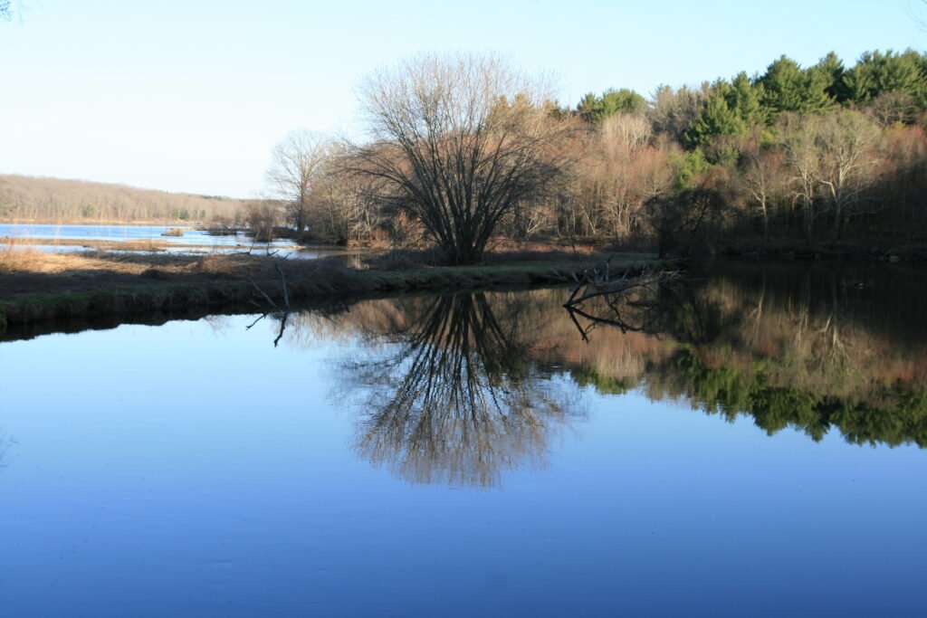 Mirror-like reflection of bare winter trees and sky on the still water of West Thompson Lake in Thompson, Connecticut