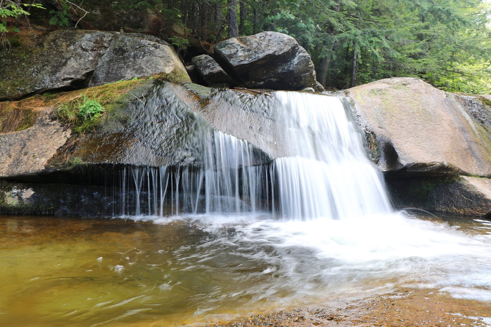 Gentle cascades of a woodland stream flowing over moss-covered rocks and weathered stones in Grafton Notch, Maine, with warm sunlight filtering through the dense forest canopy.
